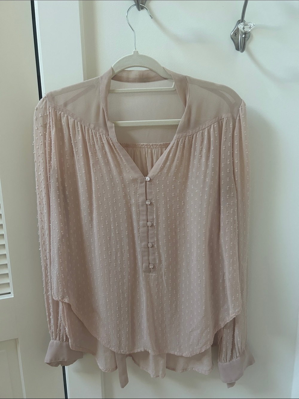 Light Pink Swiss Dot Button-Front Blouse